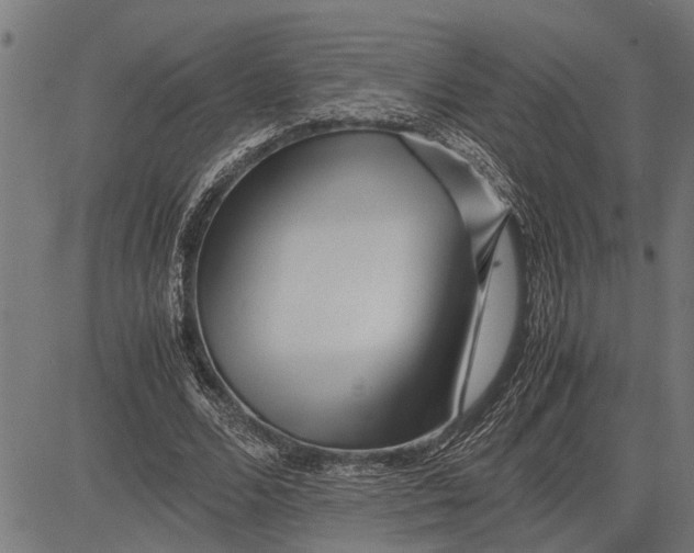 X0000081450680200702021743