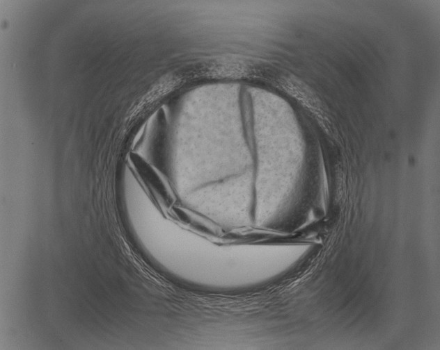 X0000081450681200702021743