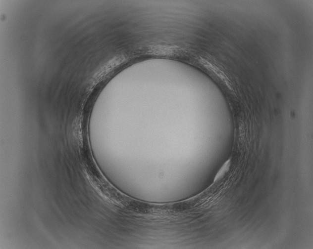 X0000081450682200702021743