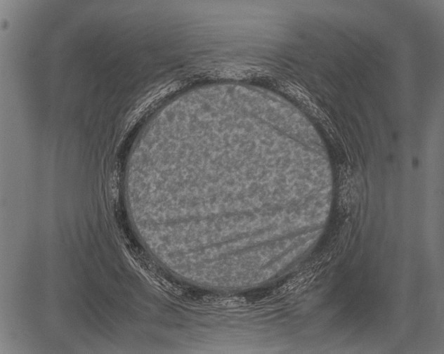 X0000081450683200702021743