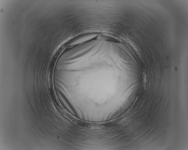 X0000081450684200702021743