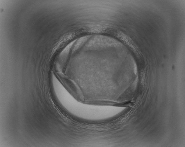 X0000081450685200702021743