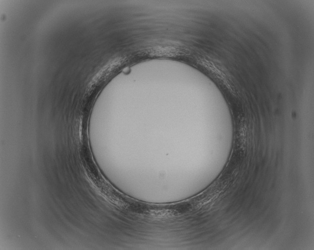 X0000081450686200702021743