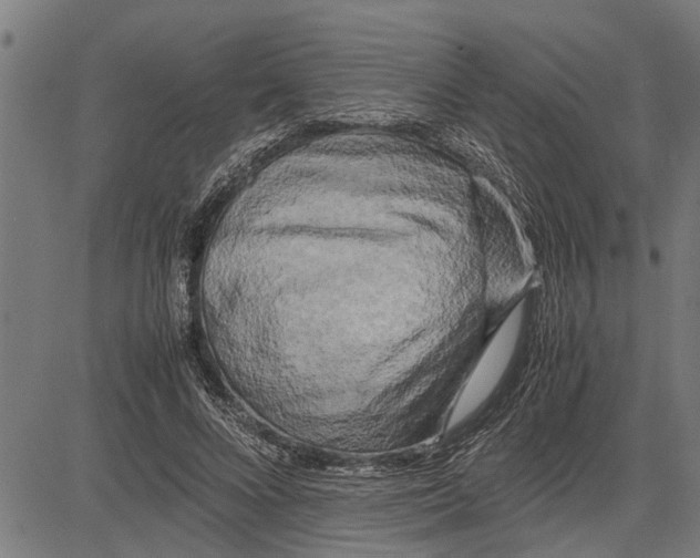 X0000081450688200702021743