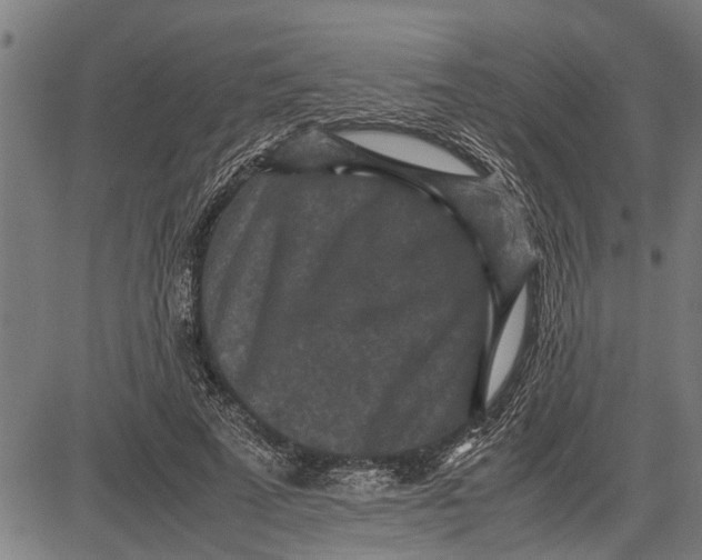 X0000081450689200702021743