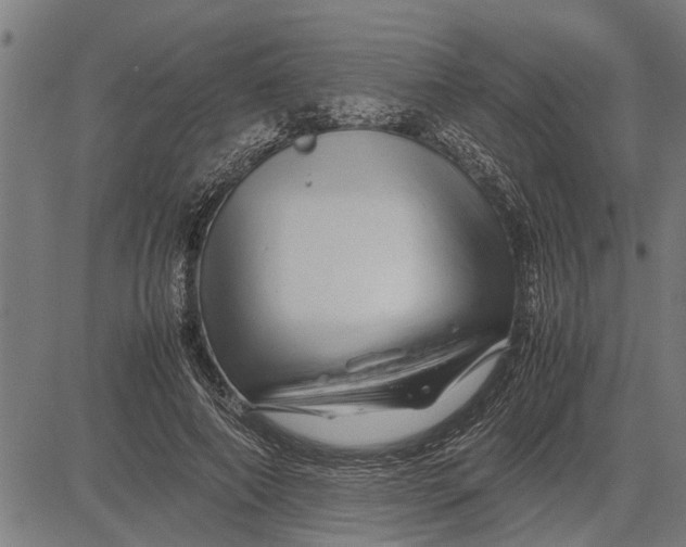 X0000081450690200702021743