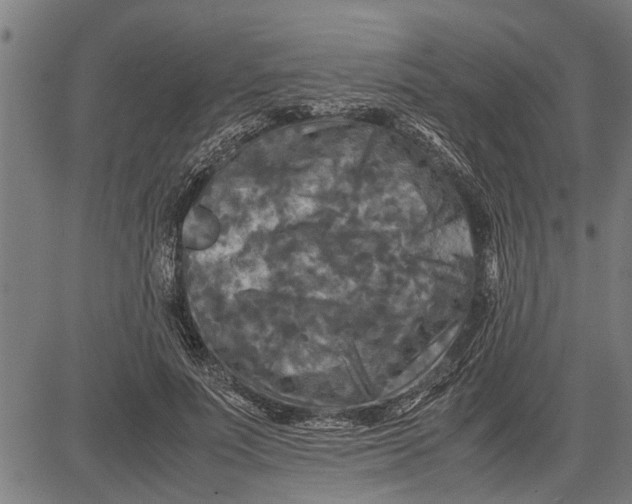 X0000081450691200702021743