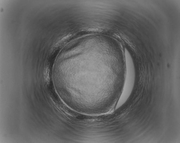 X0000081450692200702021743