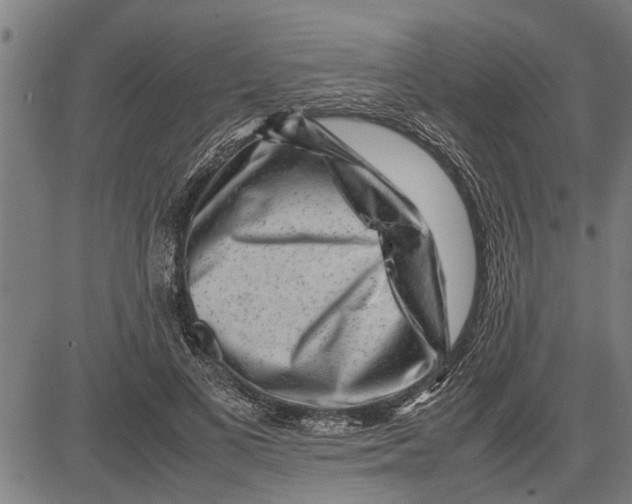 X0000081450693200702021743