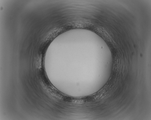 X0000081450694200702021743