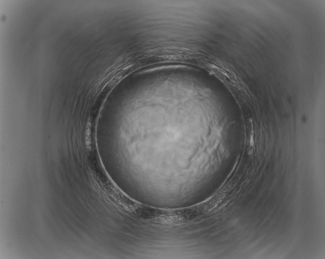 X0000081450696200702021742