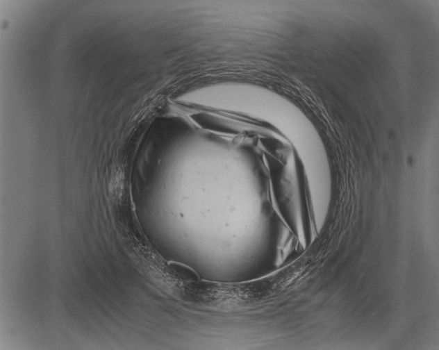 X0000081450697200702021742