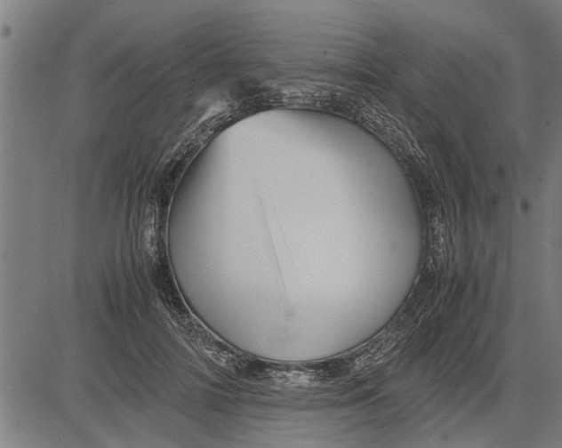 X0000081450698200702021742