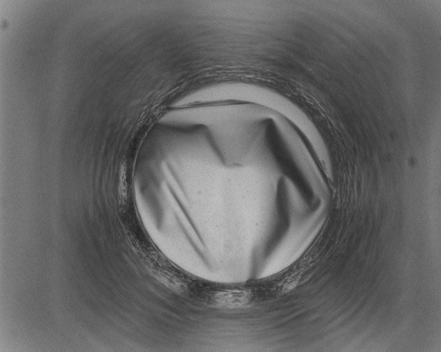 X0000081450700200702021742