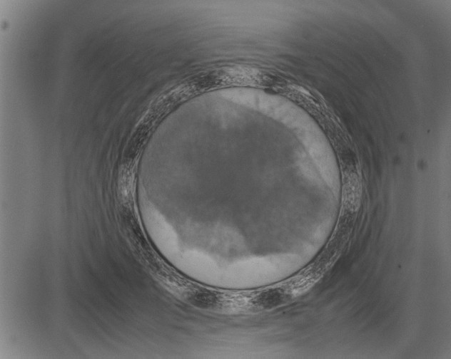 X0000081450701200702021742