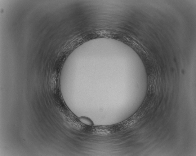 X0000081450702200702021742