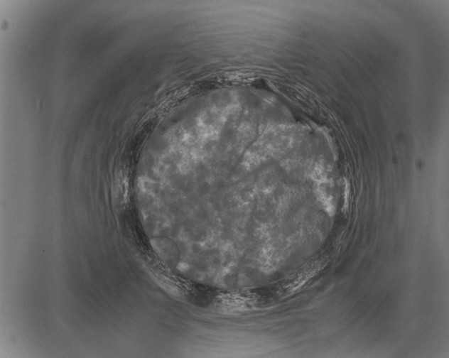 X0000081450703200702021742