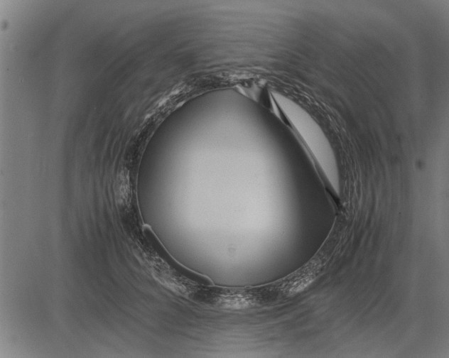 X0000081450704200702021742