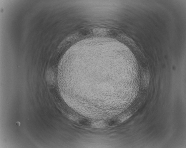 X0000081450705200702021742