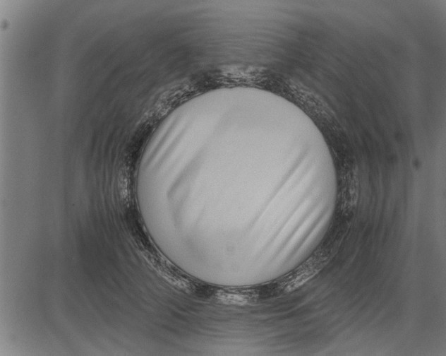 X0000081450706200702021742