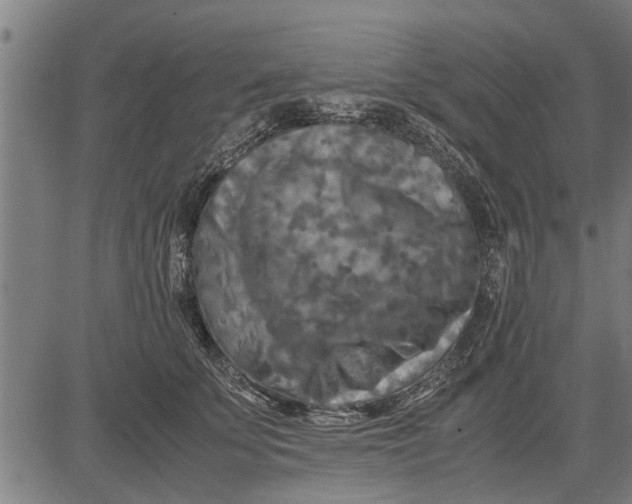 X0000081450707200702021742