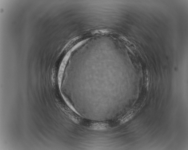 X0000081450708200702021742