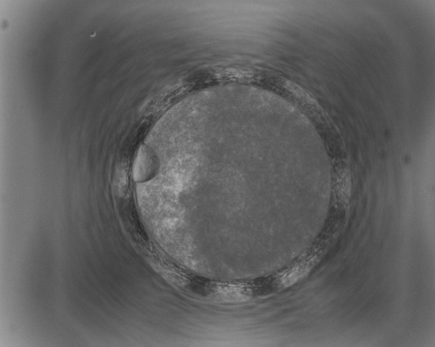 X0000081450709200702021742