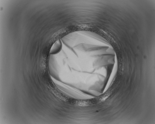 X0000081450710200702021742