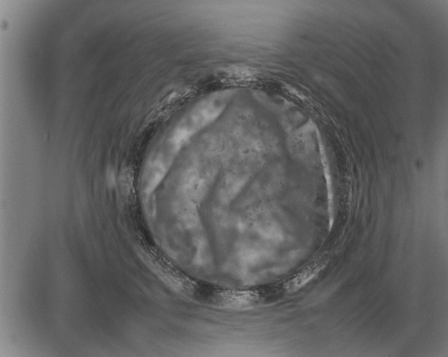 X0000081450711200702021742