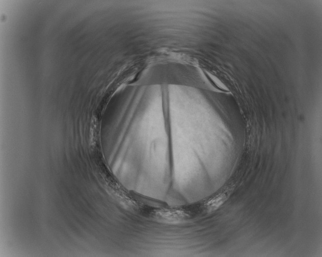 X0000081450712200702021742