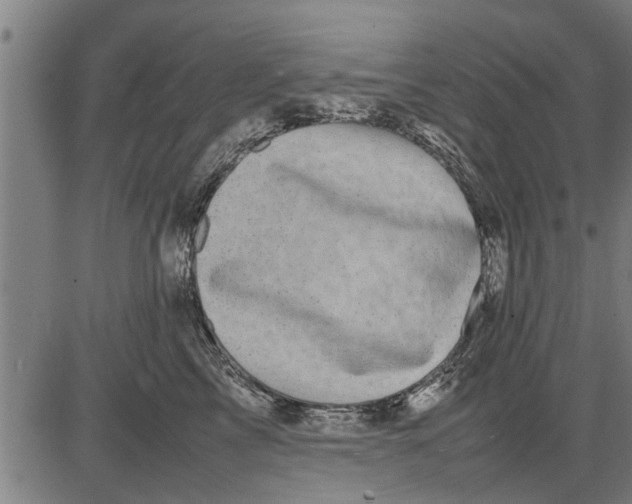 X0000081450713200702021742