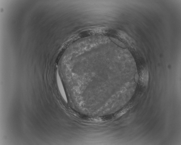 X0000081450715200702021742