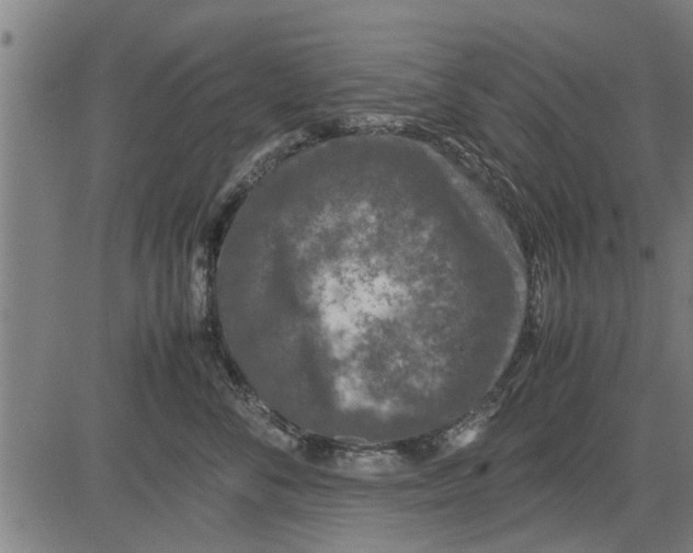 X0000081450716200702021742