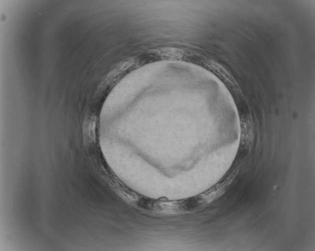 X0000081450717200702021742