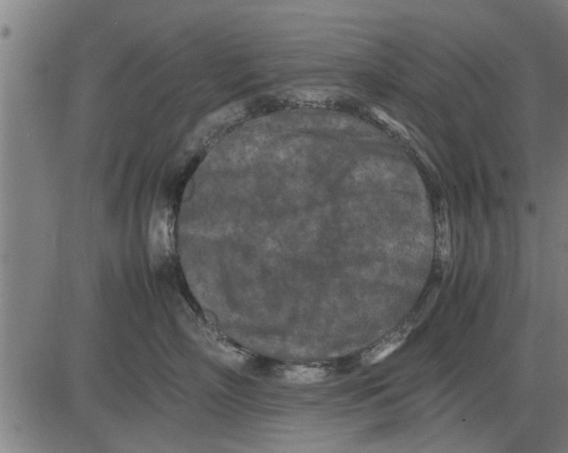 X0000081450718200702021742