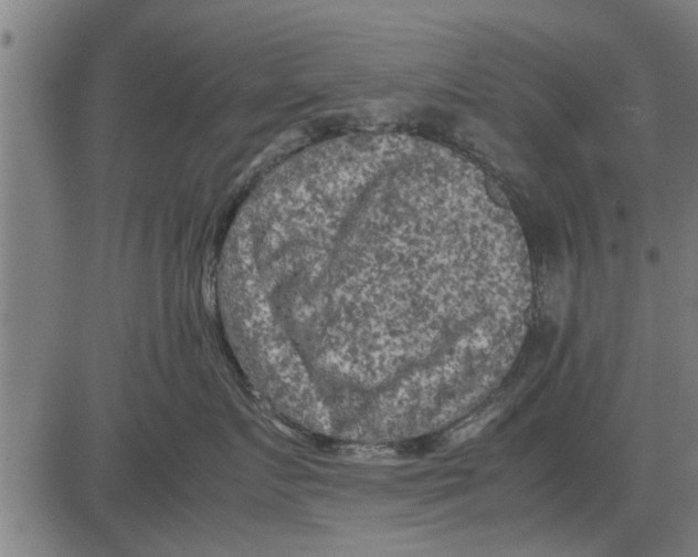 X0000081450719200702021742