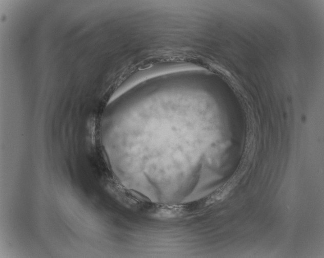 X0000081450720200702021742