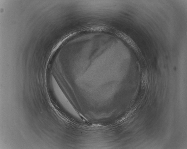 X0000081450722200702021741