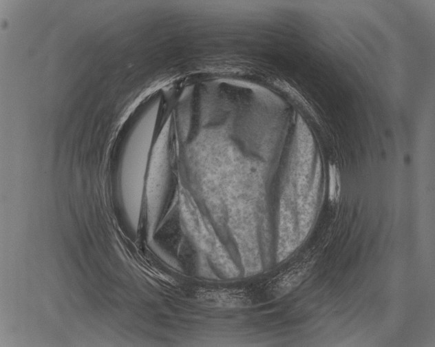 X0000081450723200702021741