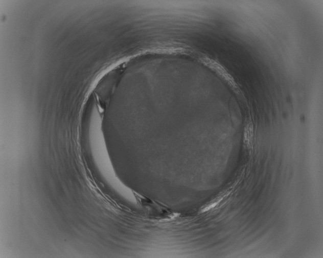 X0000081450724200702021741