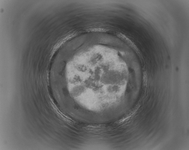 X0000081450725200702021741