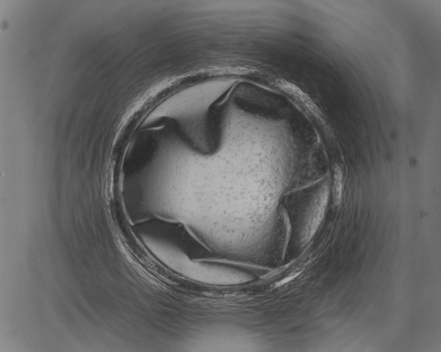 X0000081450726200702021741