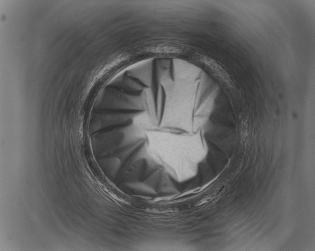 X0000081450727200702021741