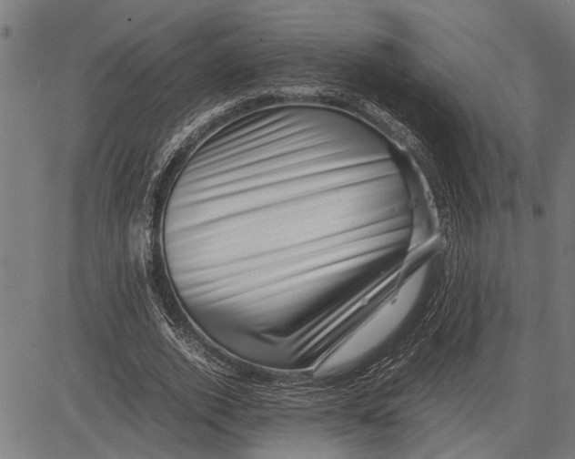 X0000081450728200702021741