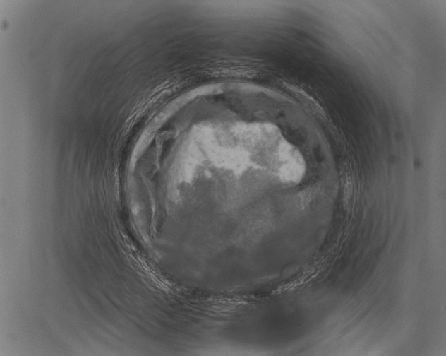 X0000081450729200702021741