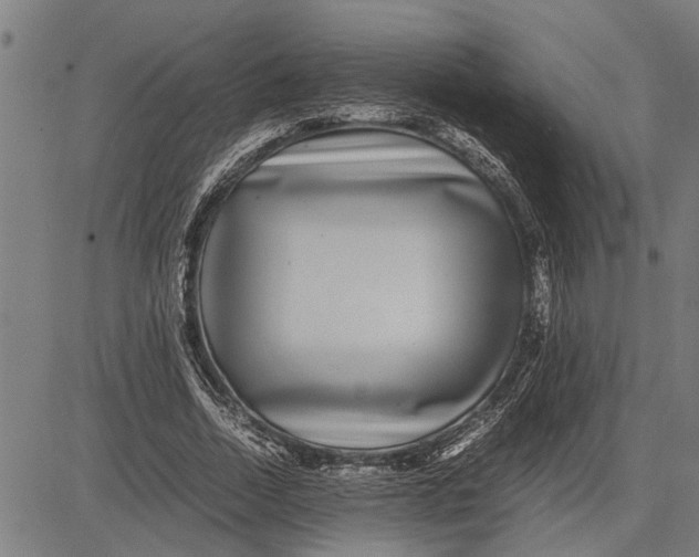 X0000081450730200702021741