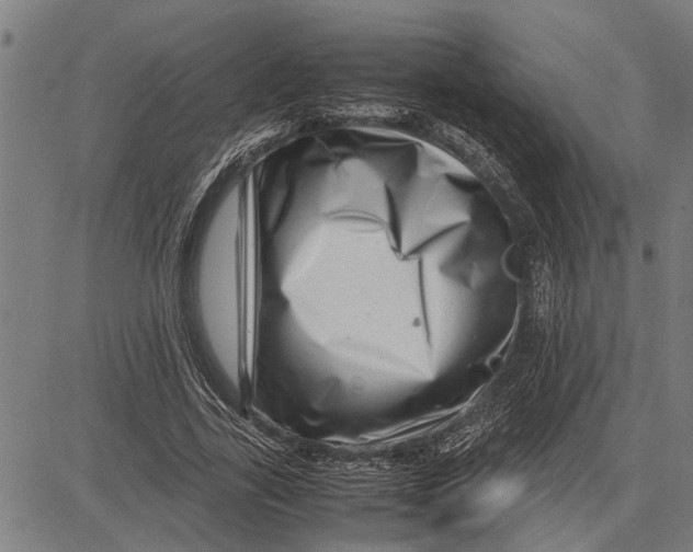 X0000081450731200702021741