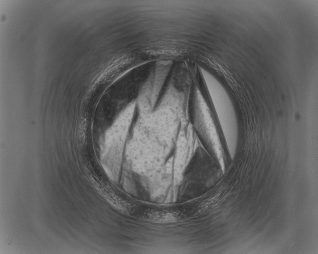 X0000081450735200702021742