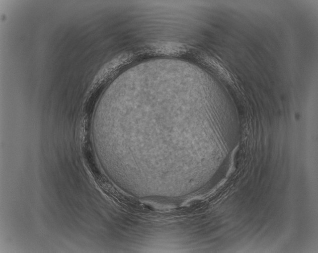 X0000081450736200702021742