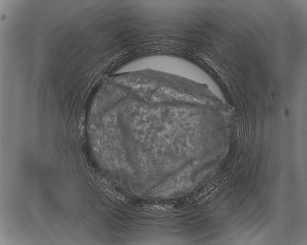 X0000081450737200702021742